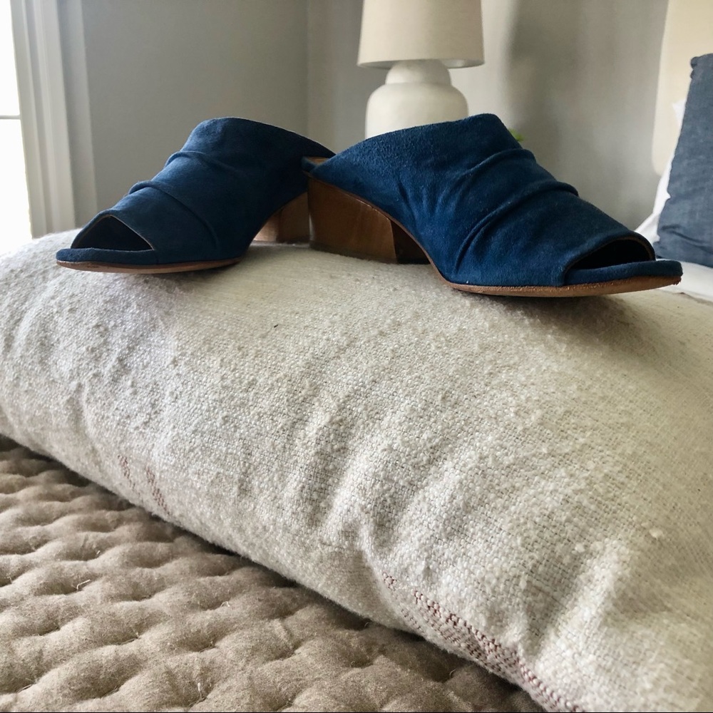 EUC Coclico Suede Mule